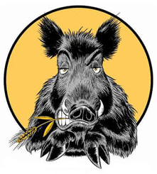 a_wildschwein-copia1 a_wildschwein-copia1