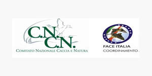 Face_cncn