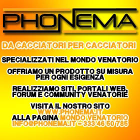Phonema