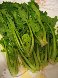 Vegetariano uccide la madre…. Vegetariano uccide la madre….