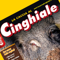 La caccia al cinghiale
