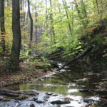 PNA – Caccia: verso la co-gestione della fauna nelle aree pre-parco