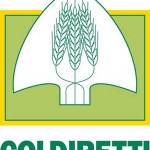 Viterbo: Danni dei cinghiali, si prepara la protesta