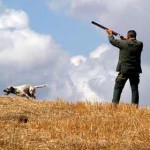 Sicilia: cacciatore annega per salvare il proprio cane