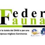 Federfauna: Regolamento folle a Mantova