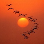 Un passo primaverile a tappe