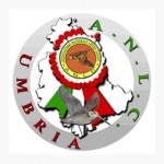 Umbria: 1 trofeo memorial Clementi Silvano