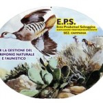 Campania: Beccaccia, anticipata la chiusura al 31 dicembre