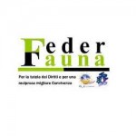 Premio Hitler agli animalisti, la provocazione di Federfauna