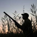 Piemonte: cacciatori e area contigua Parco del Po