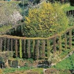 Legambiente e i cacciatori con le reti