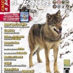 Cacciare a Palla – Dicembre 2012
