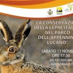 Potenza, convegno sulla conservazione della Lepre Italica