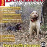 Beccacce che Passione: La nidificazione della beccaccia