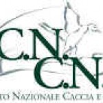 CNCN: Rimini, prima edizione del memorial “Nerio Cicotti”