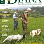 Diana n.9 in edicola dal 22 maggio
