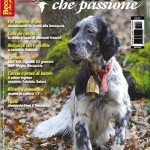 Beccacce che Passione maggio-giugno 2013