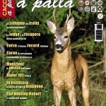 Cacciare a Palla  – Luglio 2013