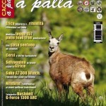 Cacciare a Palla – agosto 2013