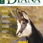 Diana n.14 è in edicola