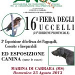 Marina di Carrara: 16 ° fiera degli uccelli ed esposizione canina