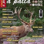 Cacciare a Palla – settembre 2013