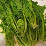 Germania: se vincono i Verdi, vegetariani per Legge…