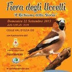 Colle di Val d’Elsa (Siena): torna la Fiera degli Uccelli