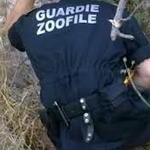 Guardie zoofile volontarie, i chiarimenti del ministero dell’Interno