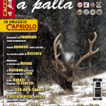 Editoriale: Rinuncio o “ci provo”?