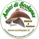 Amici di Scolopax: La verità prima di tutto