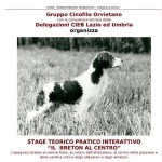 Cinofilia: il Breton al centro