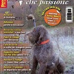 Beccacce che passione – Novembre Dicembre
