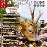 Cacciare a Palla gennaio 2015