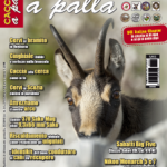 Editoriale: L’orso bruno non è Yoghi…