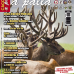 Cacciare a Palla – Aprile 2015