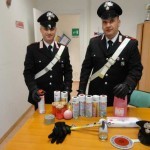 Ravenna: daini, denunciati cinque animalisti