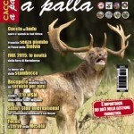 Cacciare a Palla maggio 2015