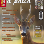 Editoriale: Quando la legge non basta