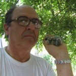 “UN PASSO INDIETRO PER ANDARE AVANTI”