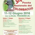 Festa Nazionale  del Colombaccio a Poggibonsi