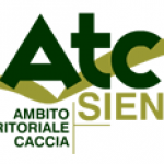 ATC SI : Gestione cinghiale in zona NON vocata