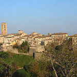 Colle di Val d’Elsa, torna la Fiera degli Uccelli.