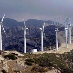 Società di energia eolica condannata per la morte di uccelli protetti