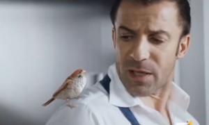 Spot Uliveto